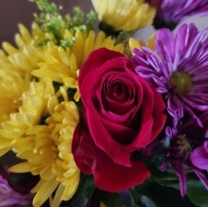 Meet your Posher, Patricia